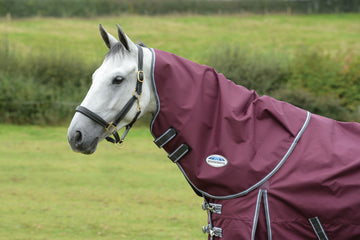 WeatherBeeta ComfiTec Plus Dynamic II Neck Rug- Lite (0g)